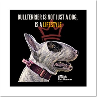 Bullterrier is not just a dog, is a lifestyle Posters and Art